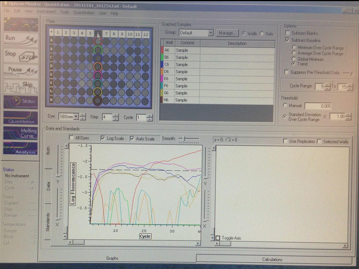 qPCR.png