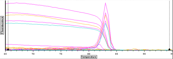 qPCR3.jpg