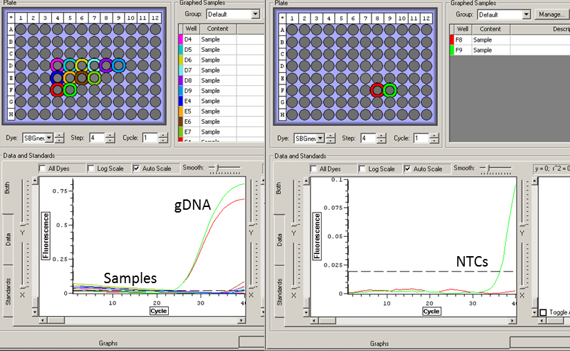 qPCR_results_4102013.png